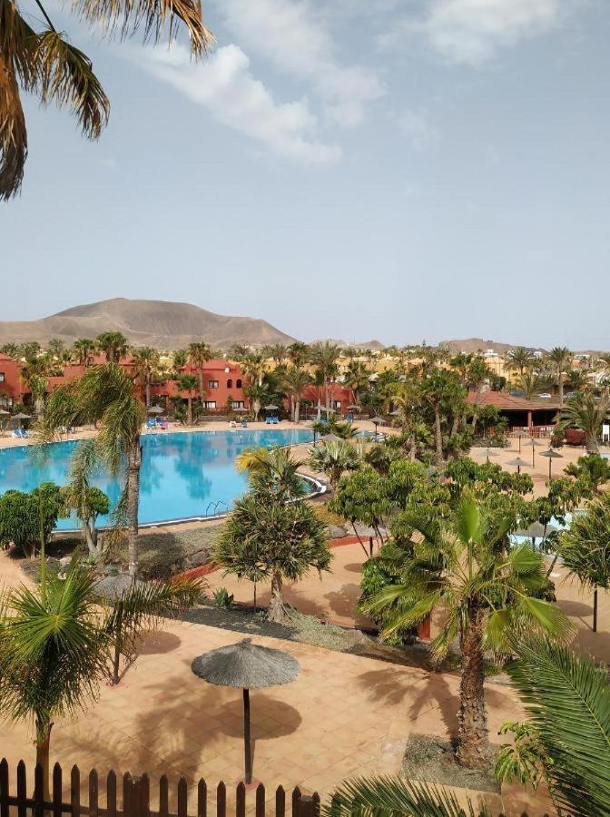 Apartament Oasis Tamarindo Poppins Pool E Terrace *